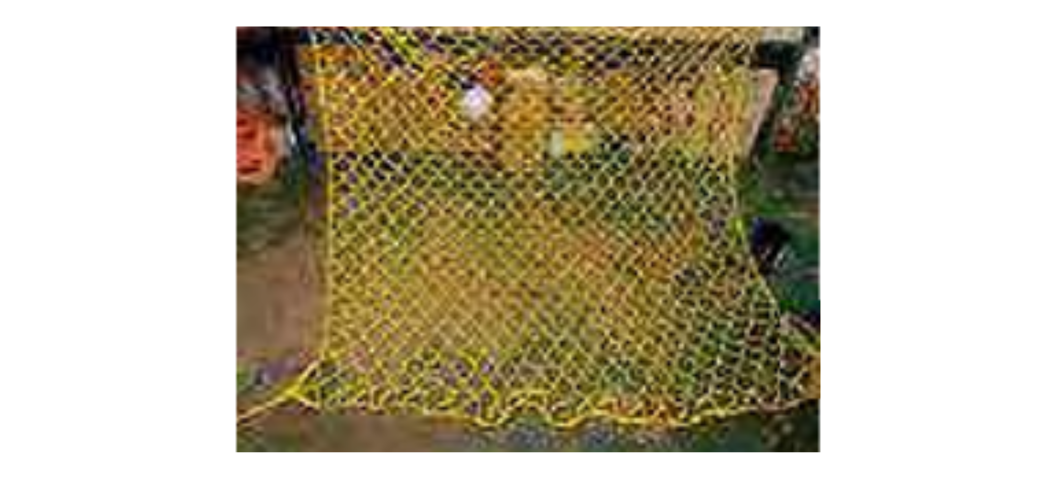 Safety Net supplier in India Safety Net supplier in India