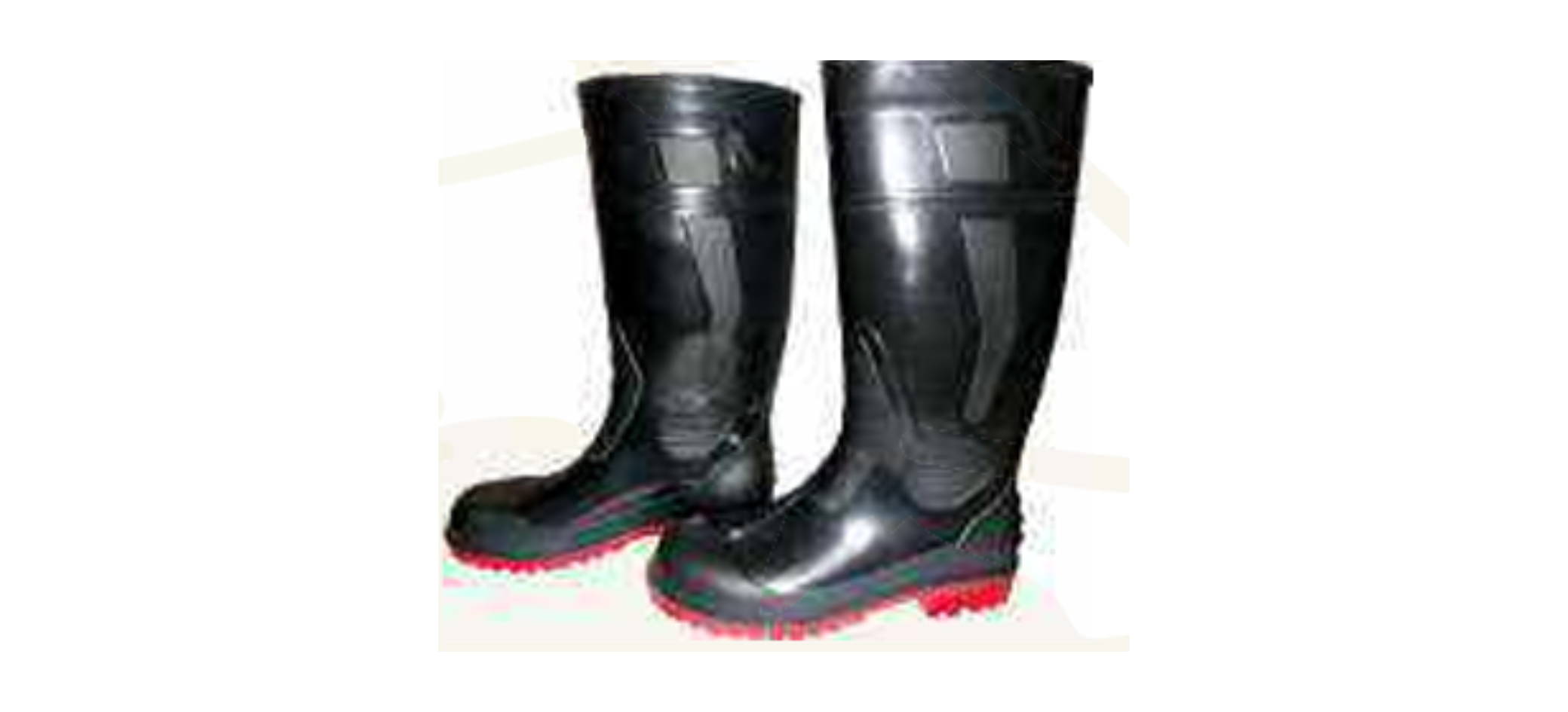 Safety Shoes supplier in India Safety Shoes supplier in India