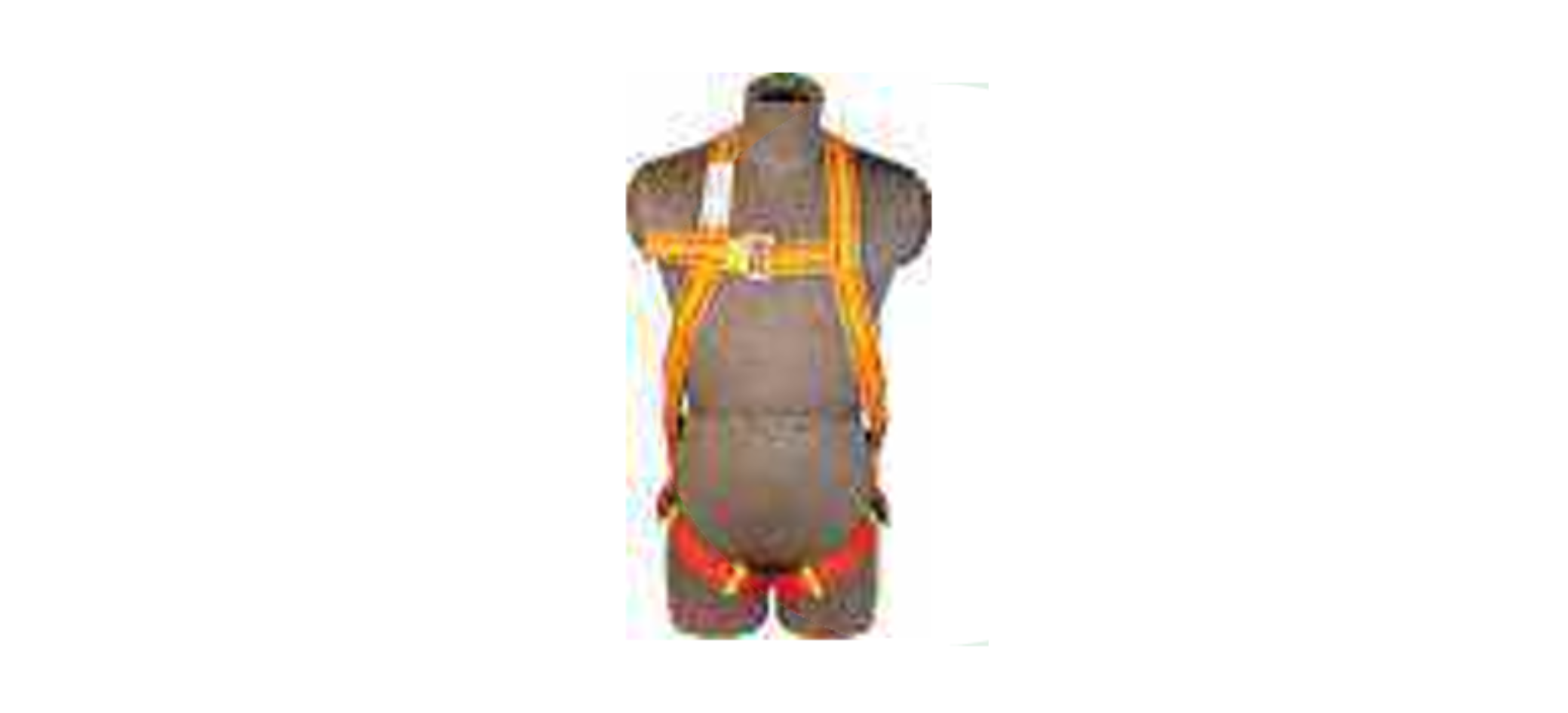 safety belt supplier in India safety belt supplier in India