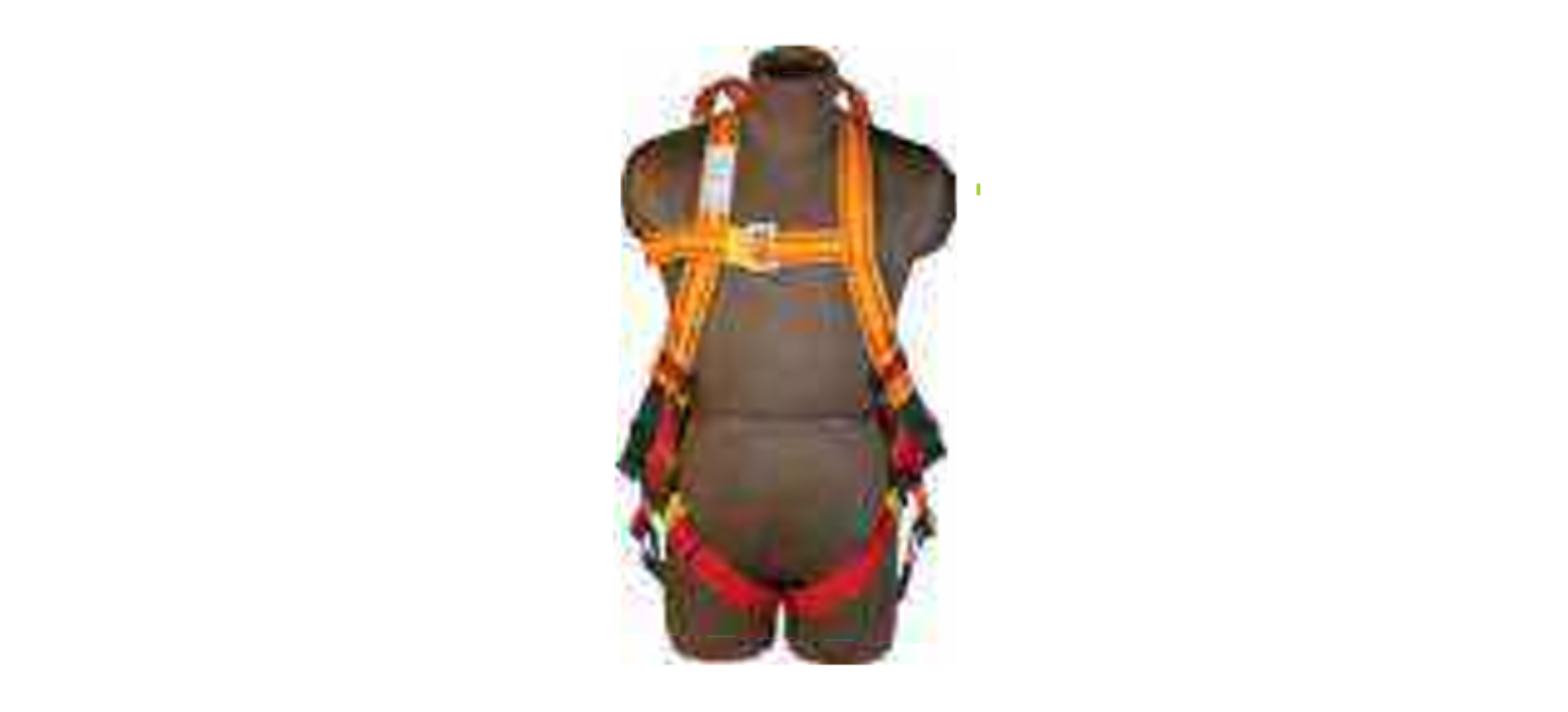 safety belt supplier in India safety belt supplier in India