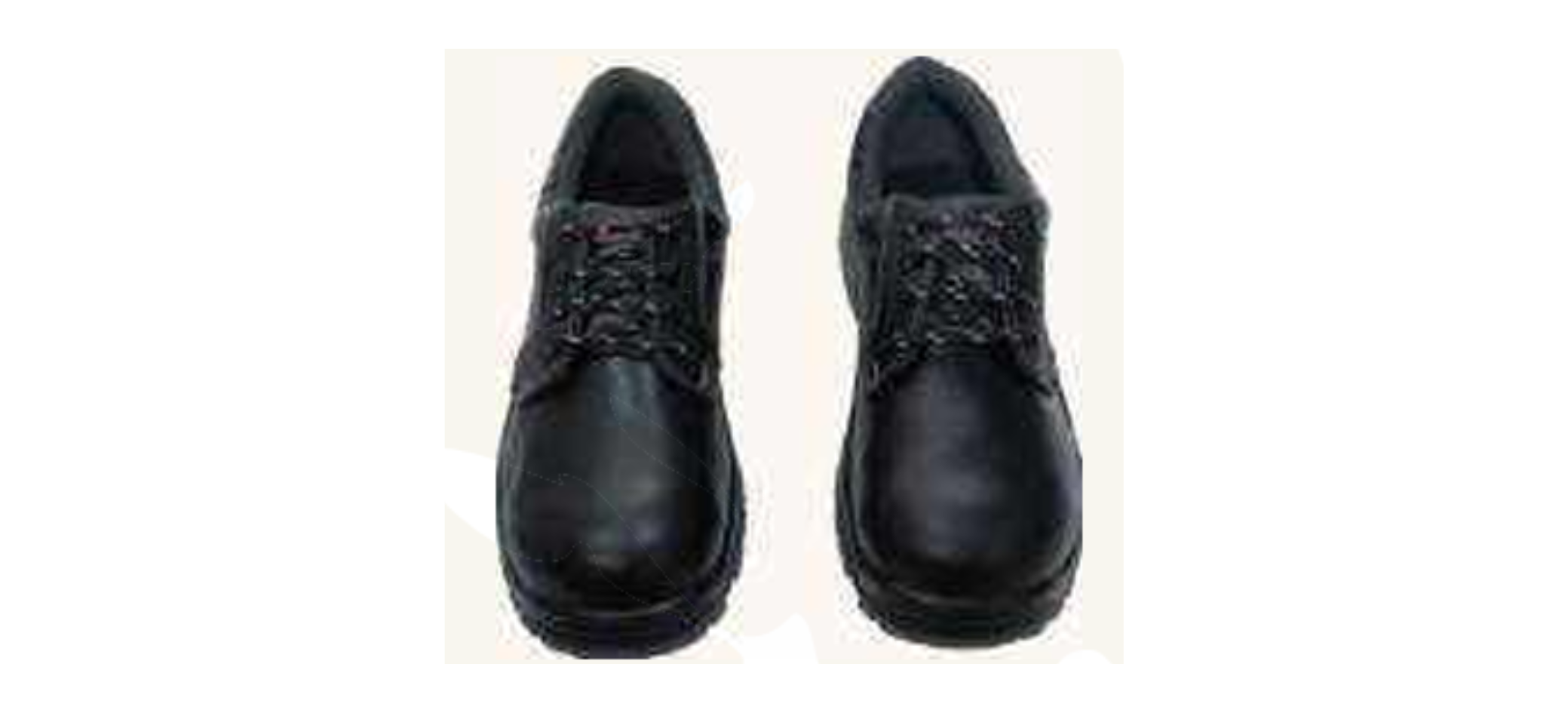 Safety Shoes supplier in India Safety Shoes supplier in India