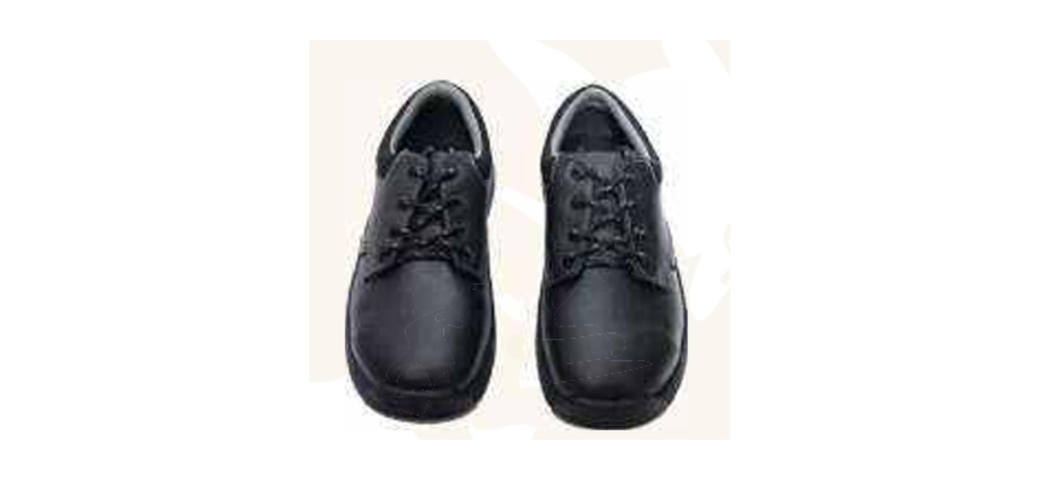 Safety Shoes manufacturer in India Safety Shoes manufacturer in India