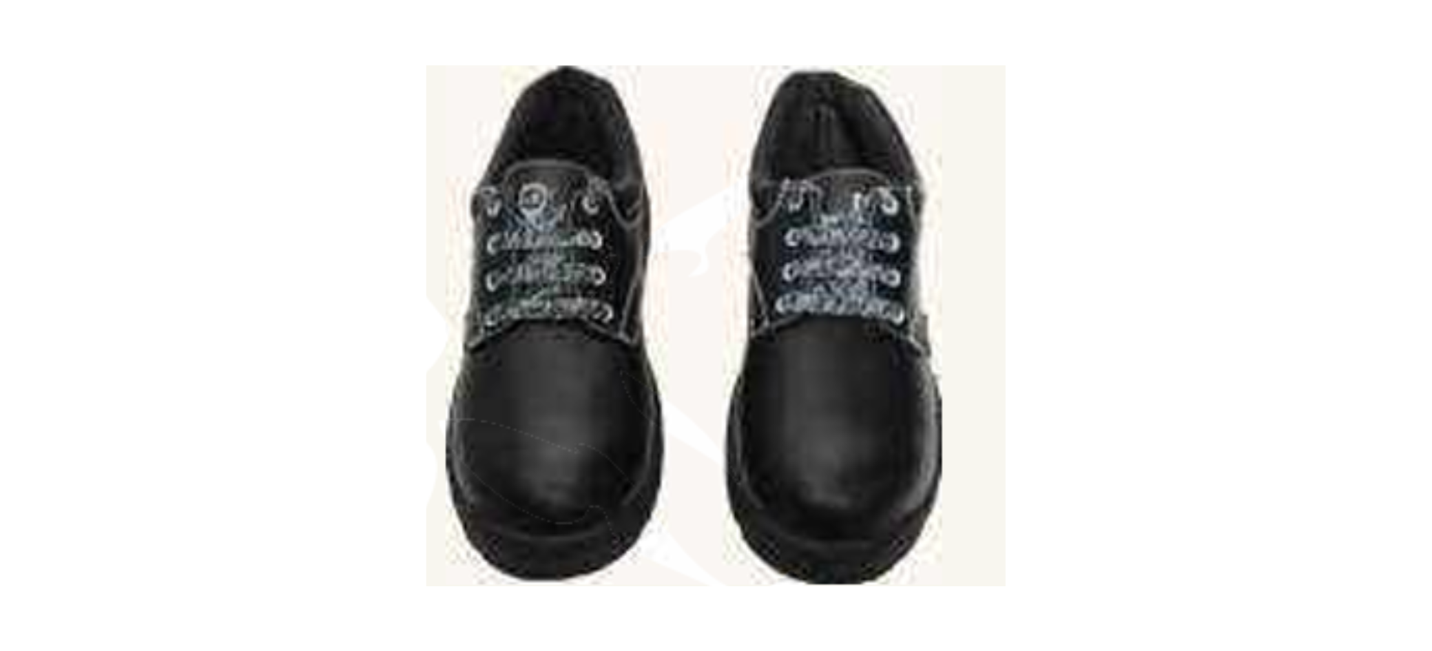 Safety Shoes supplier in India Safety Shoes supplier in India