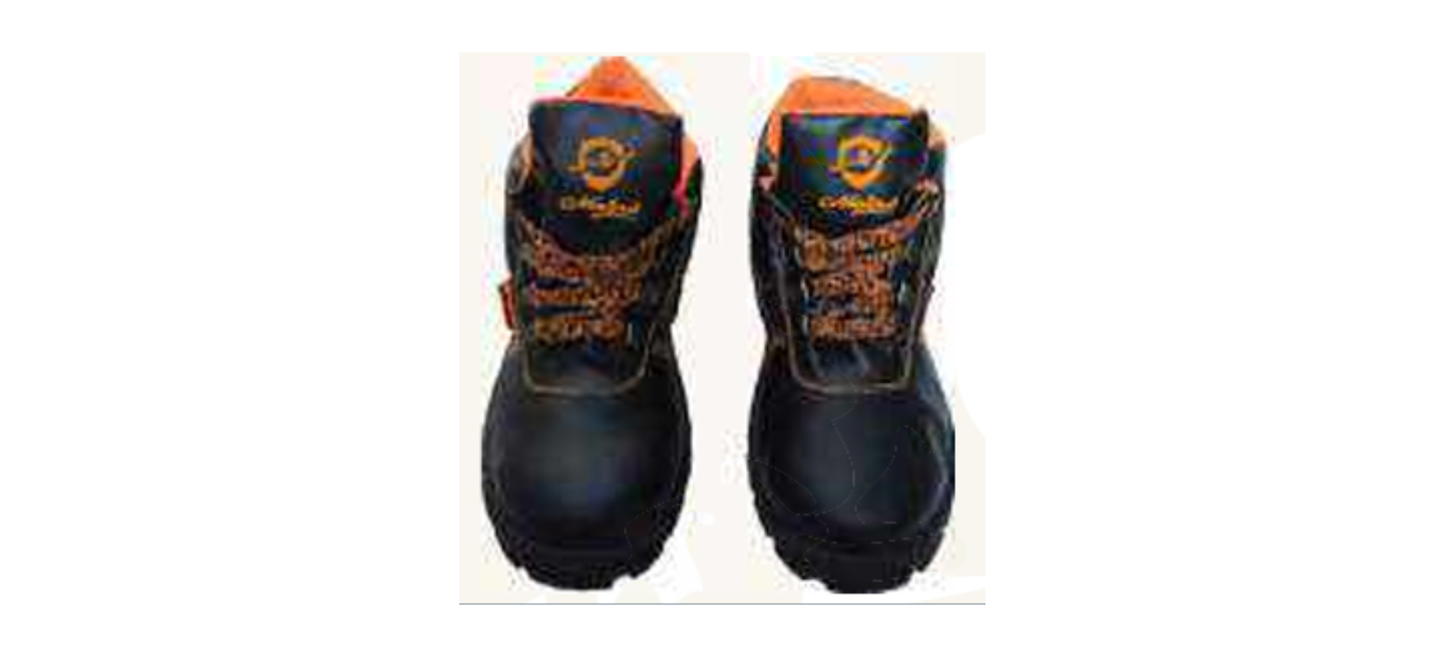 Safety Shoes supplier in India Safety Shoes supplier in India