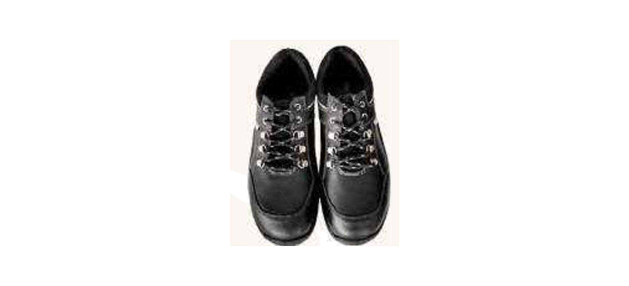 Safety Shoes supplier in India Safety Shoes supplier in India